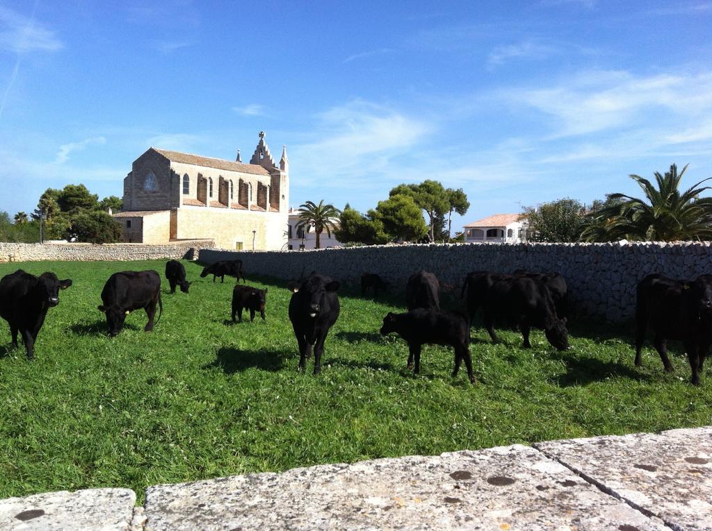 Alloggio per agriturismo Llucmacanes Gran *